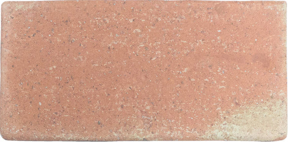 cotto Roots Porcelain Field Tile Matte 4.3x8.6