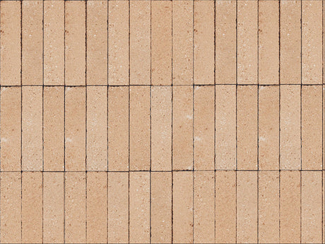 sand rustic subway tile 2x8