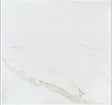 Versilia Calacatta Porcelain Tile Matte 12x12