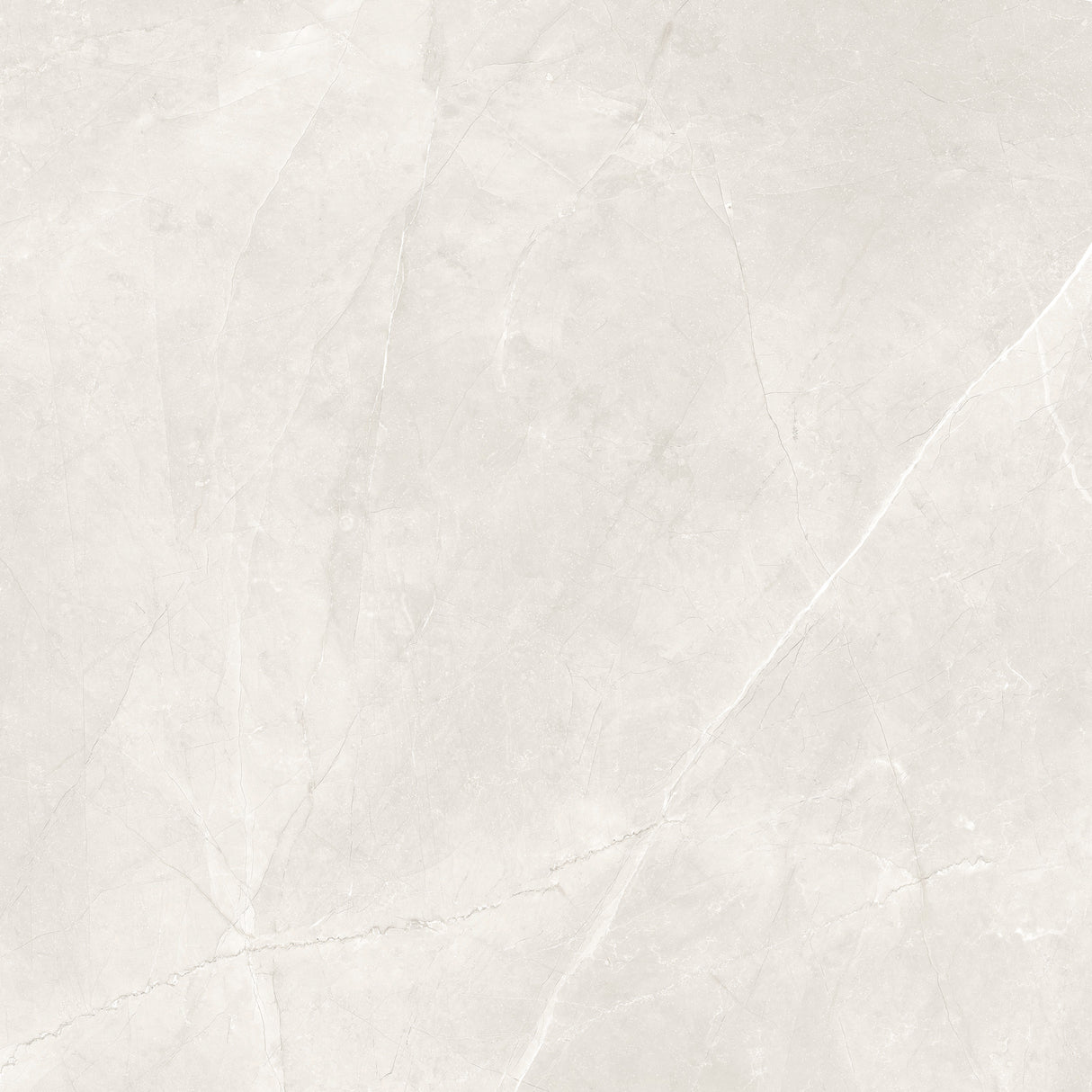 Pulpis Bianco Rectified 48X48 tile
