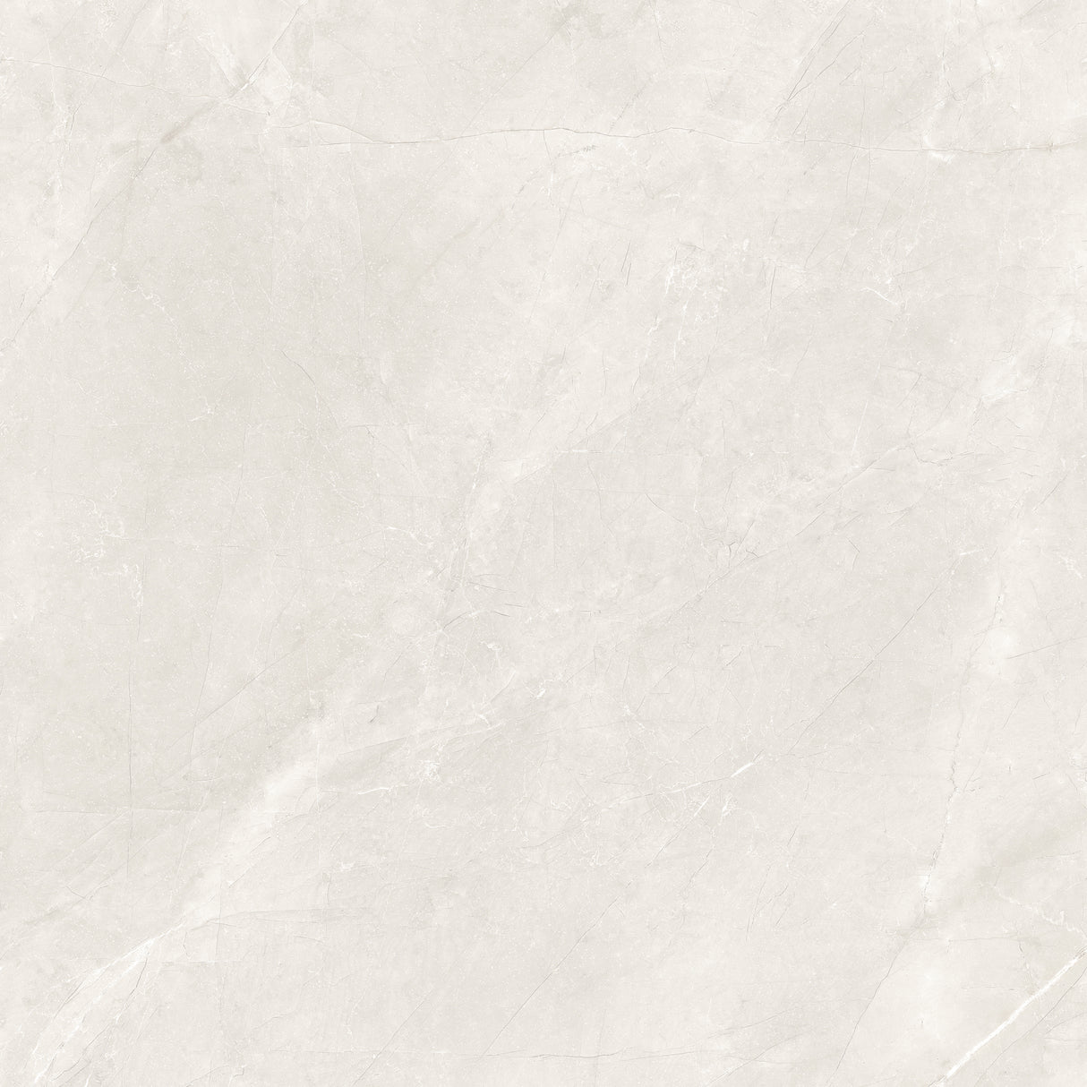 Pulpis Bianco Rectified 48X48 wall tile