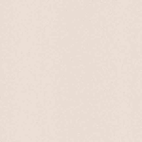 Merci 23.62x47.24 porcelain tiles crema