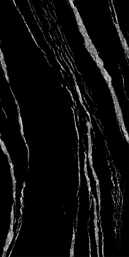Black Fusion Polished Slab floor