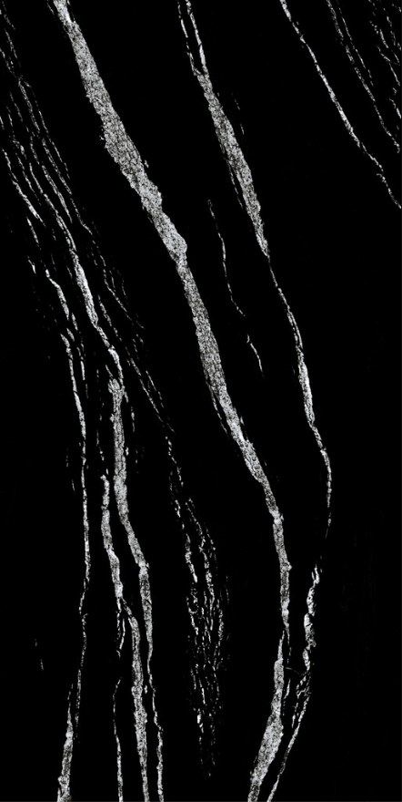 Black Fusion Polished Slab