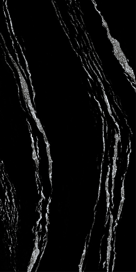 Black Fusion Polished Slab wall