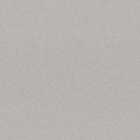 Merci 23.62x47.24 porcelain tiles perla