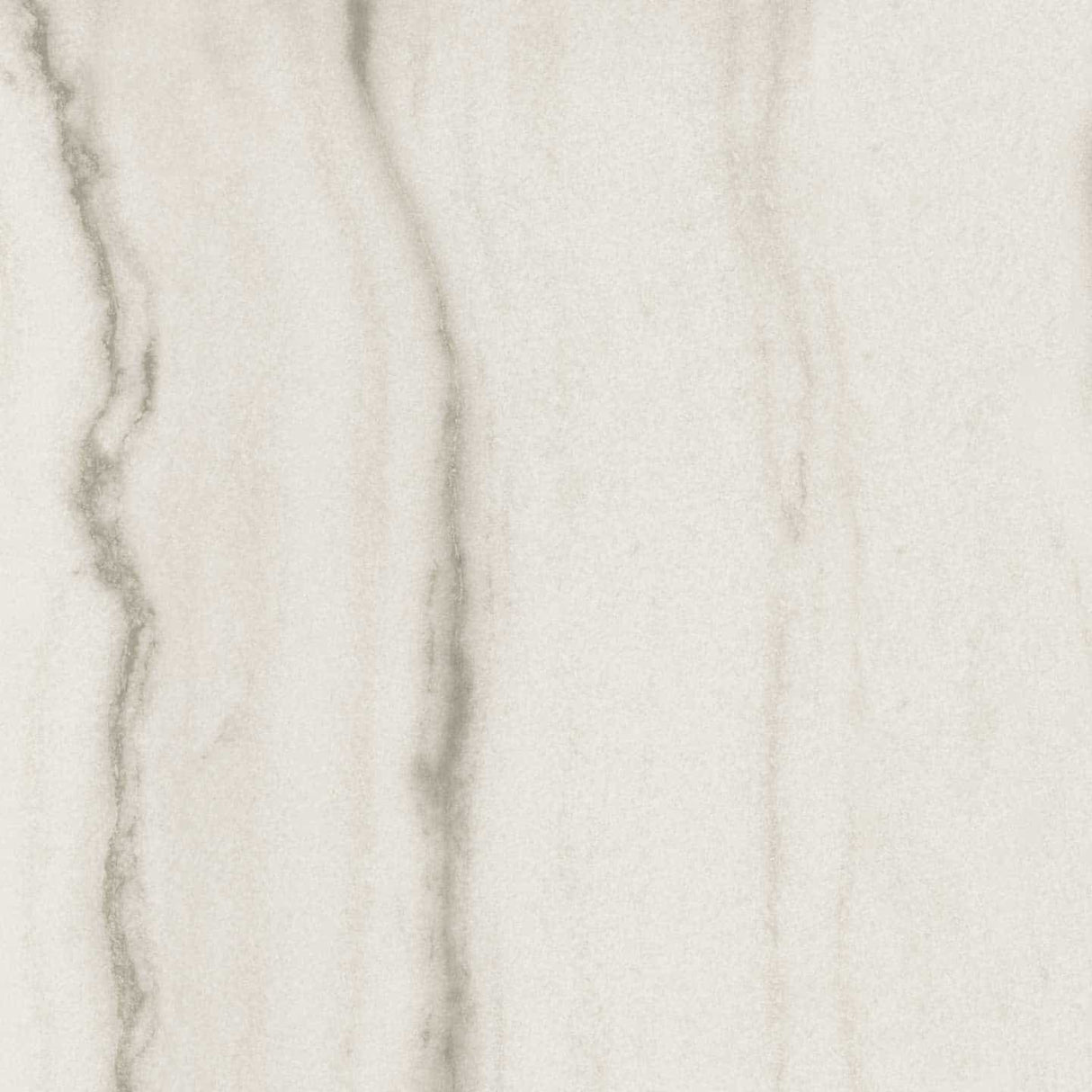 Prexious 31.5x71 white fantasy matte