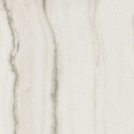 Prexious 31.5x71 white fantasy matte