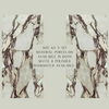 Calacatta Viola Porcelain