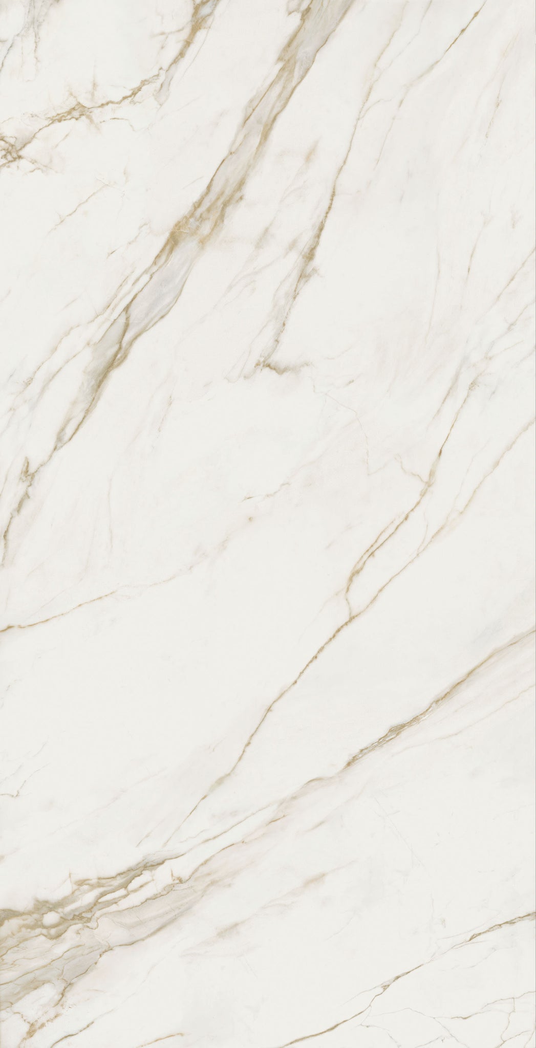 Calacatta Extra Slab