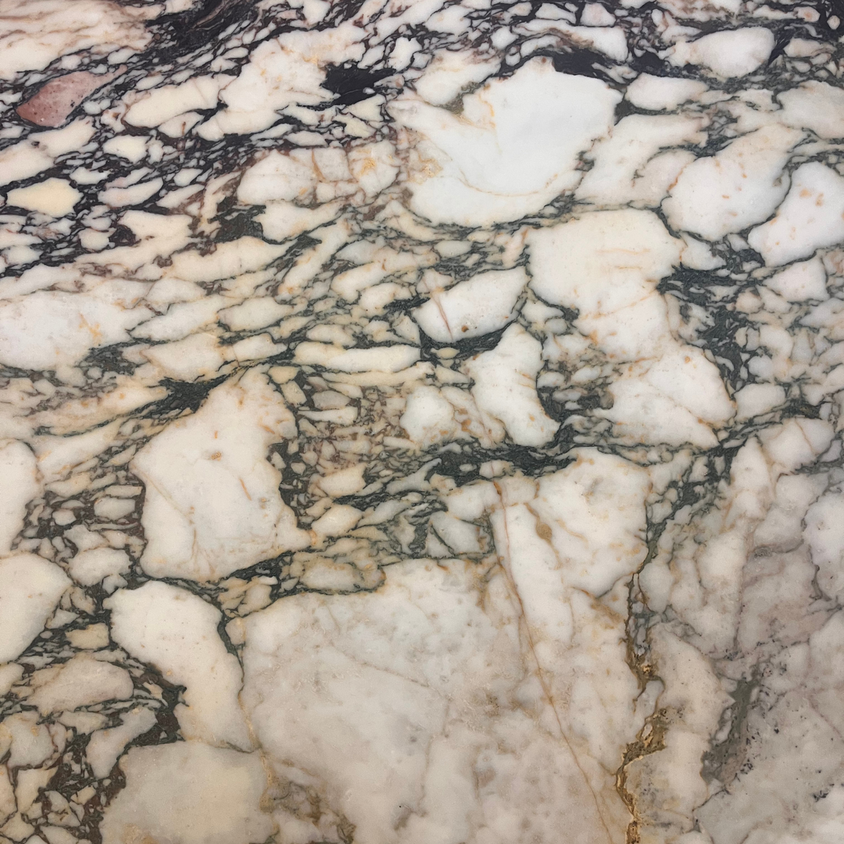 Calacatta Monet Honed Marble