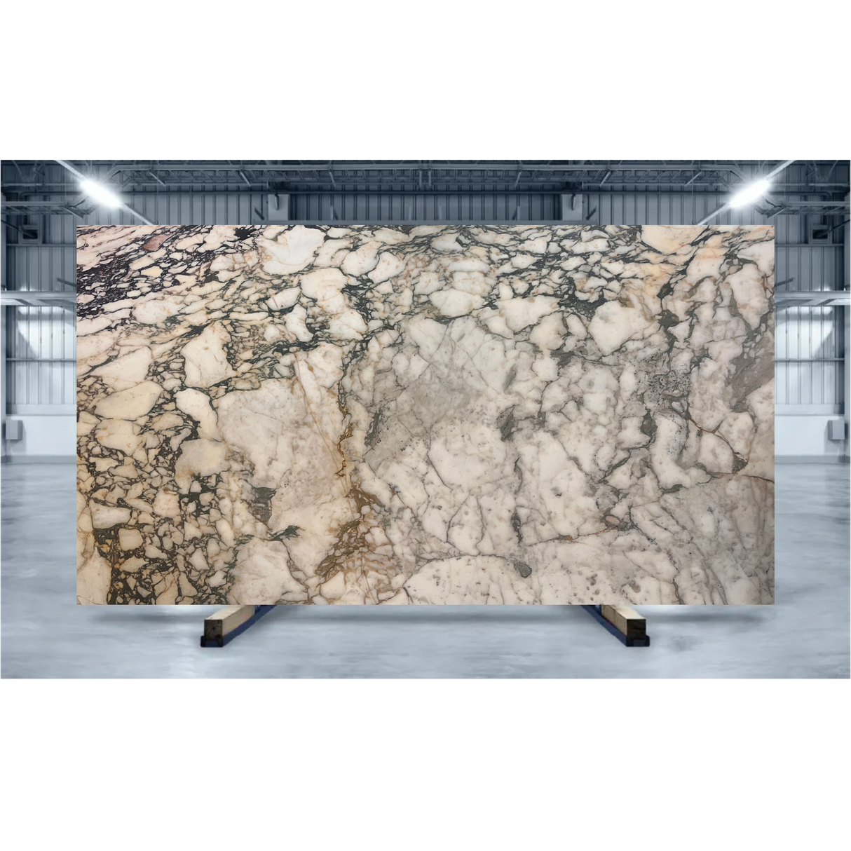 Calacatta Monet Honed Marble