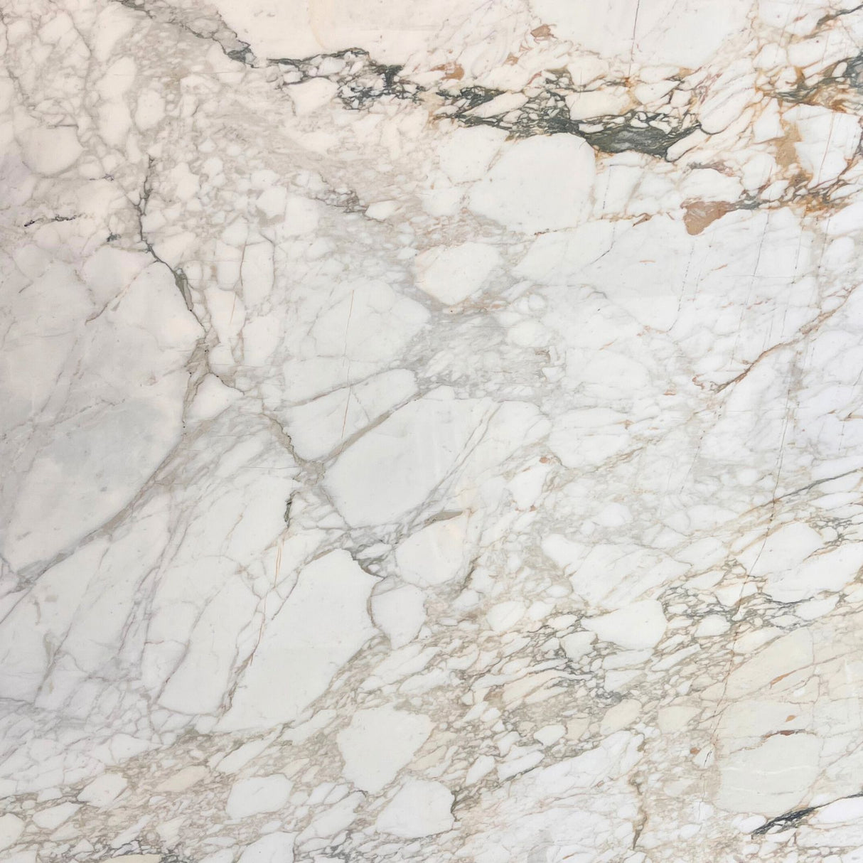 Calacatta Monet Polished Marble