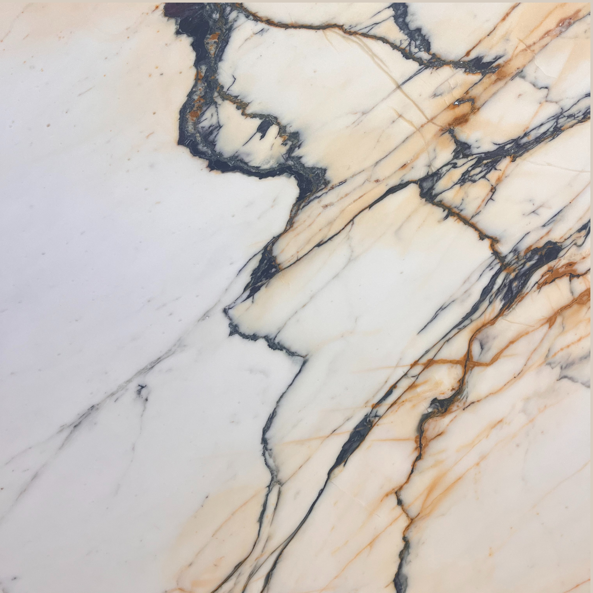 Calacatta Paonazzo Extra Honed Slab