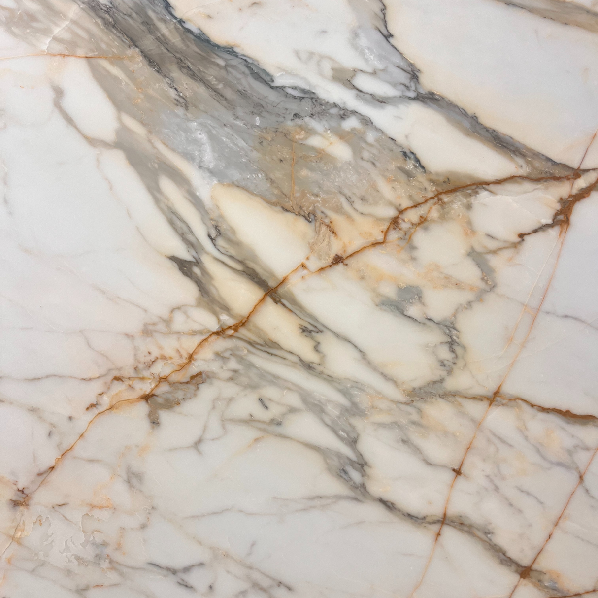Calacatta Borghini Gold Honed Slab
