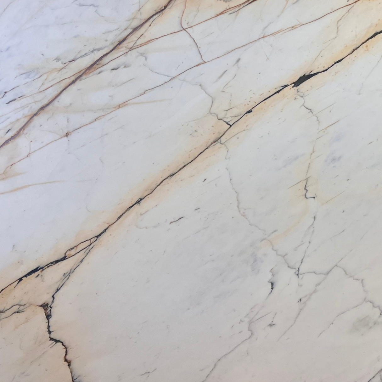 Calacatta Paonazzo Extra Honed Slab