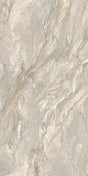 Rare Quartzite Matte 64" x 128" Porcelain slab
