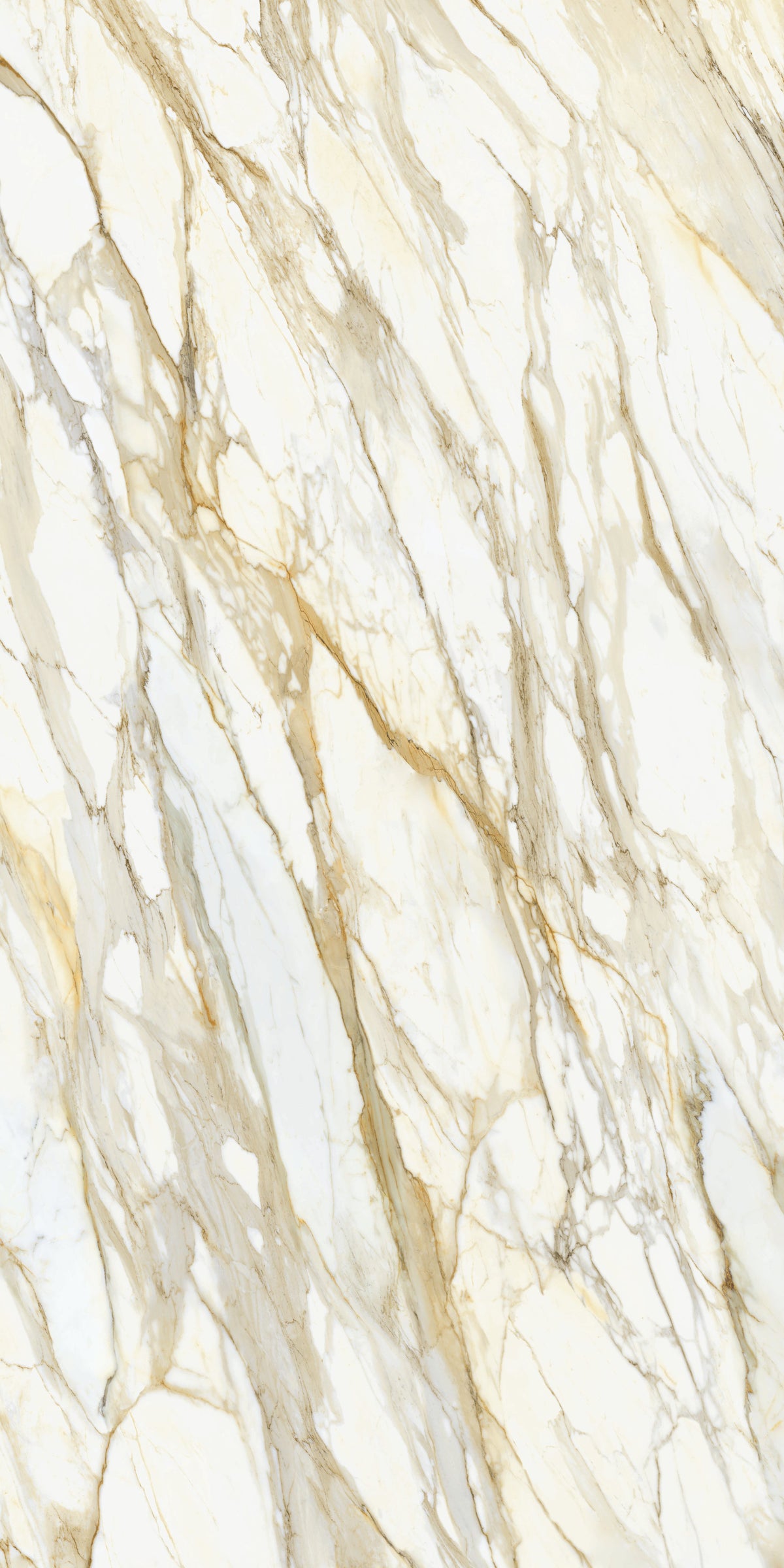 Calacatta Borghini Matte 64" x 128" Porcelain slab