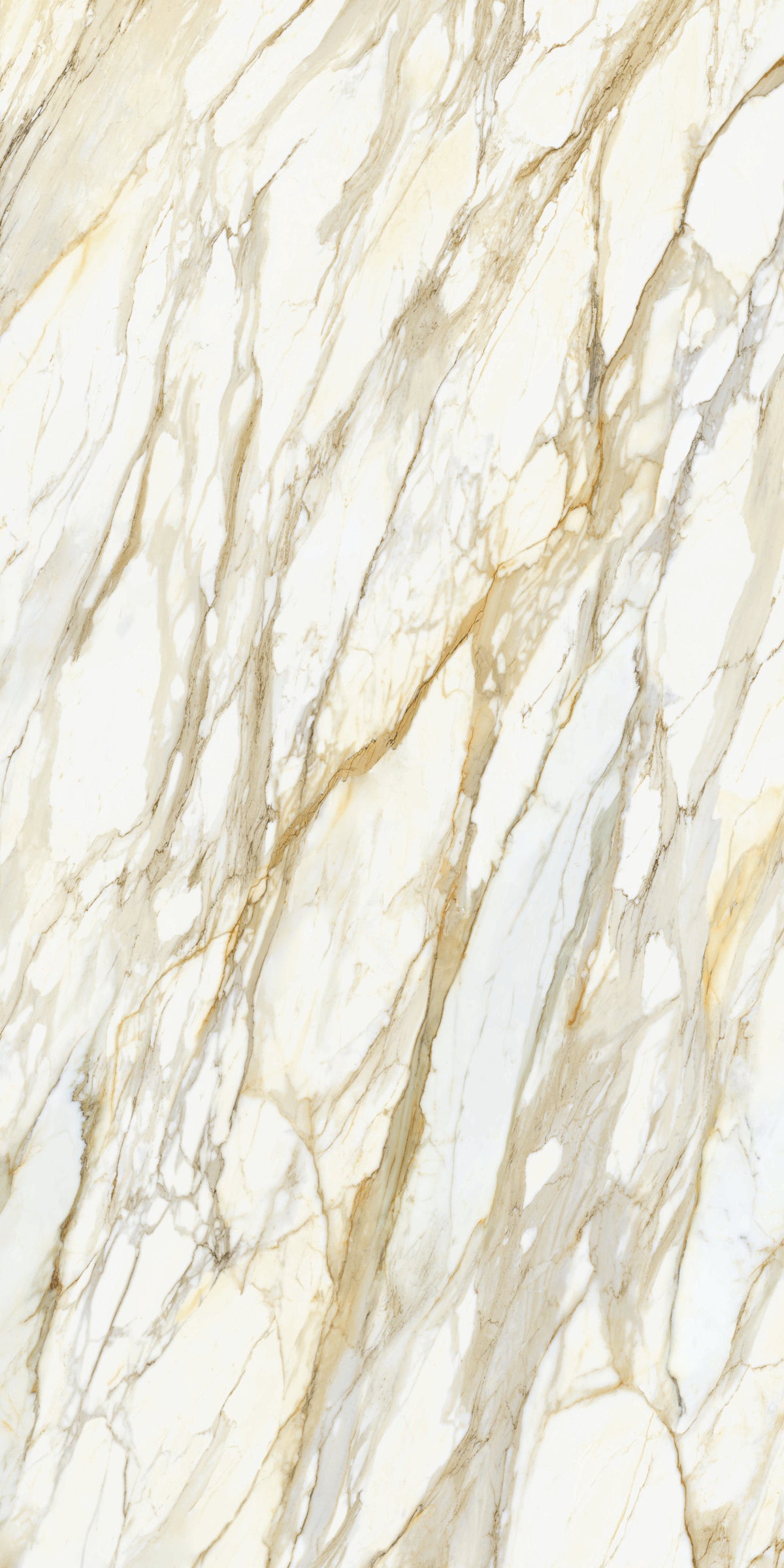 Calacatta Borghini Matte 64" x 128" Porcelain slab, Side B