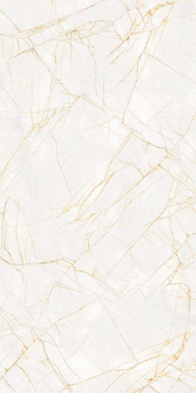 Golden Spider Matte 64" x 128" Porcelain slab