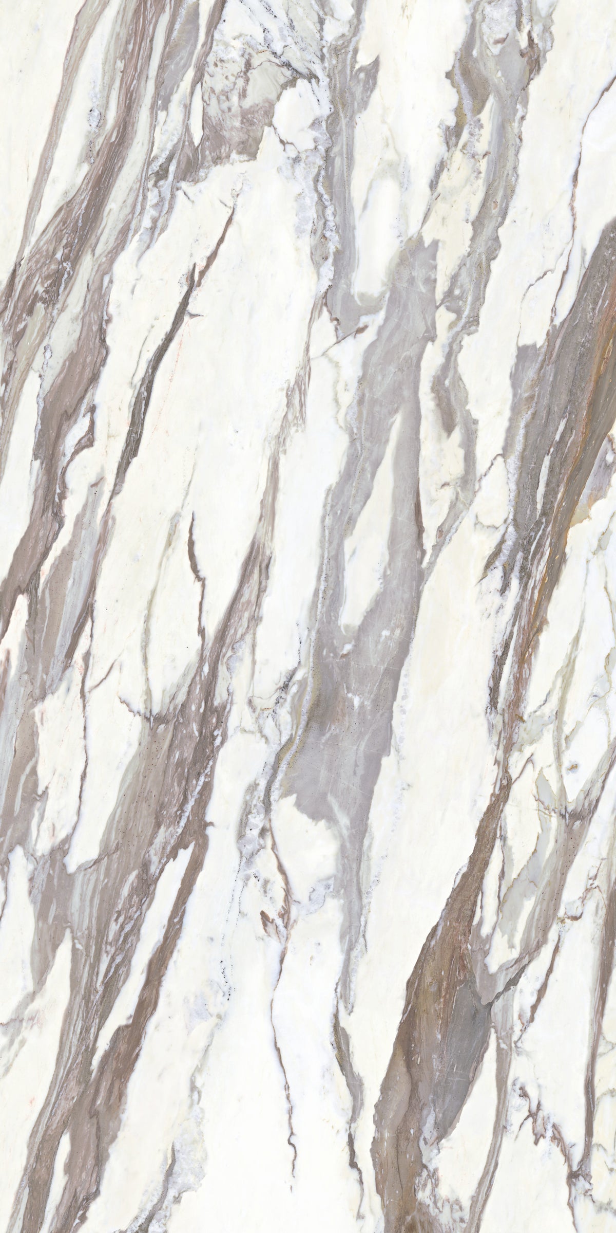 Calacatta Masterpiece Matte 64" x 128" Porcelain slab