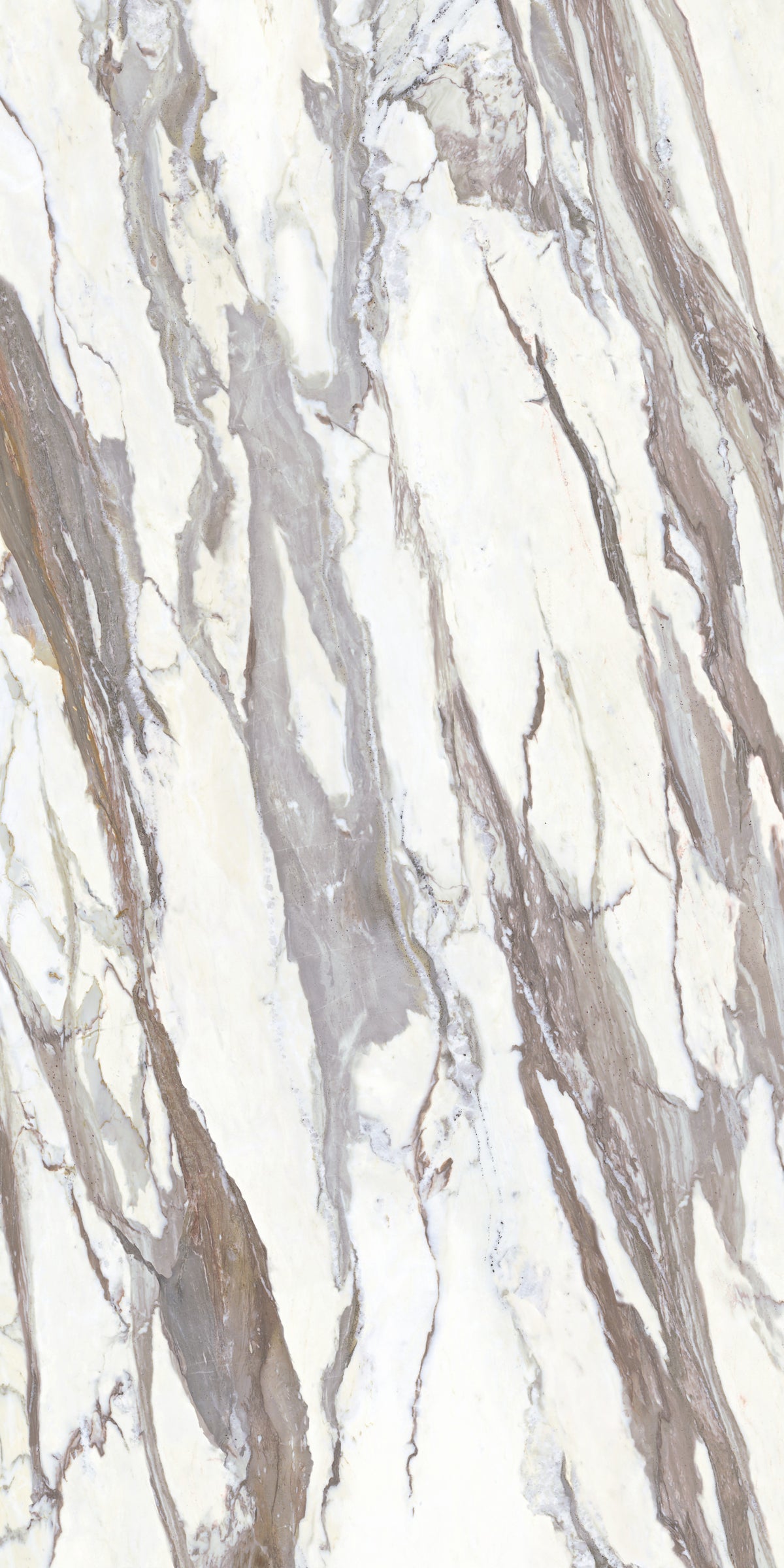Calacatta Masterpiece Matte 64" x 128" Porcelain slab, Side B