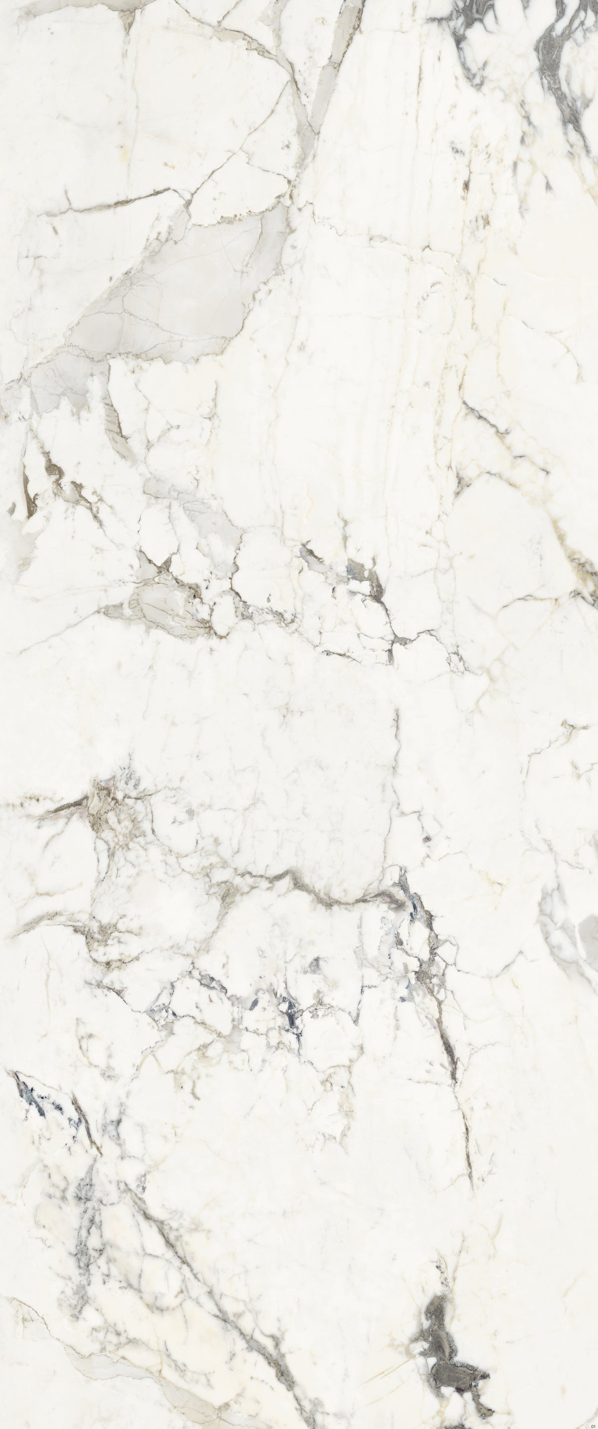 Supreme Capraia Glossy 48" x 110" Porcelain slab