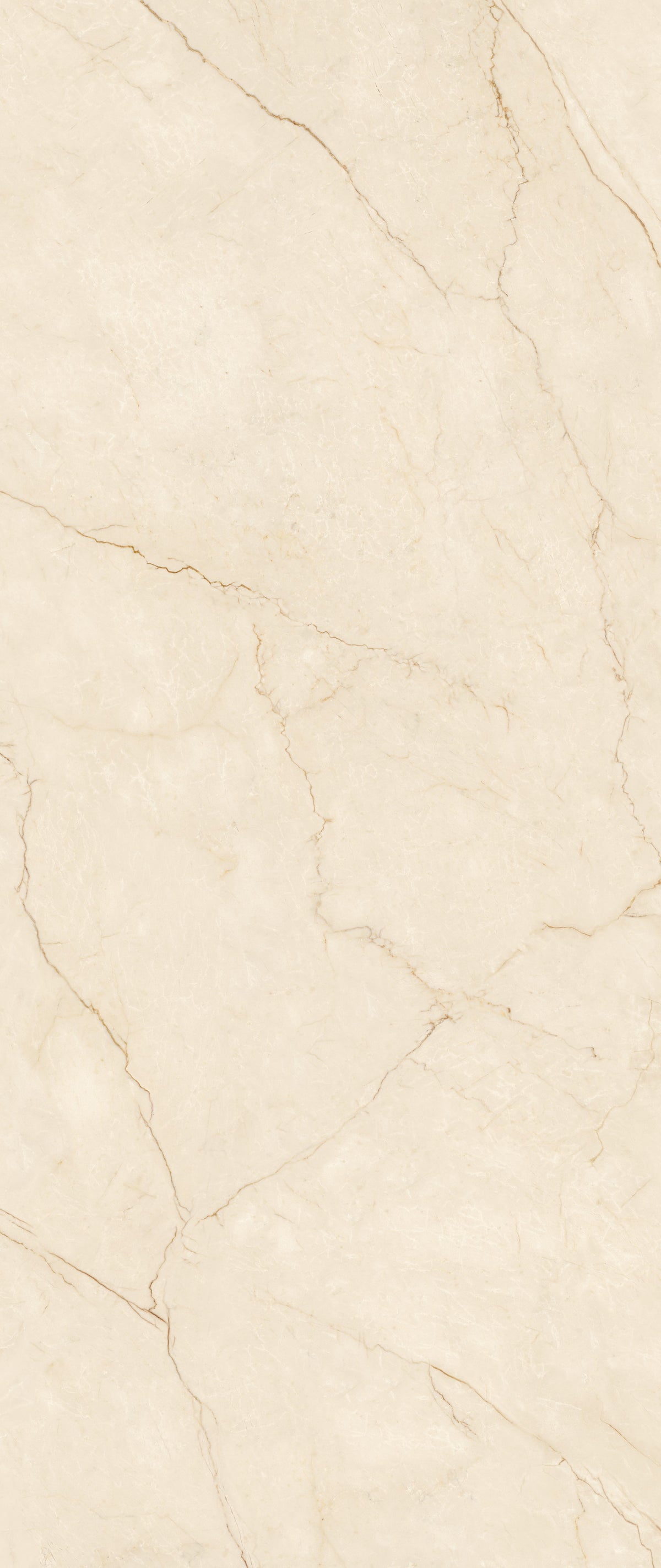 Aetelier Cozy Marfil Polish 48" x 110" Porcelain slab