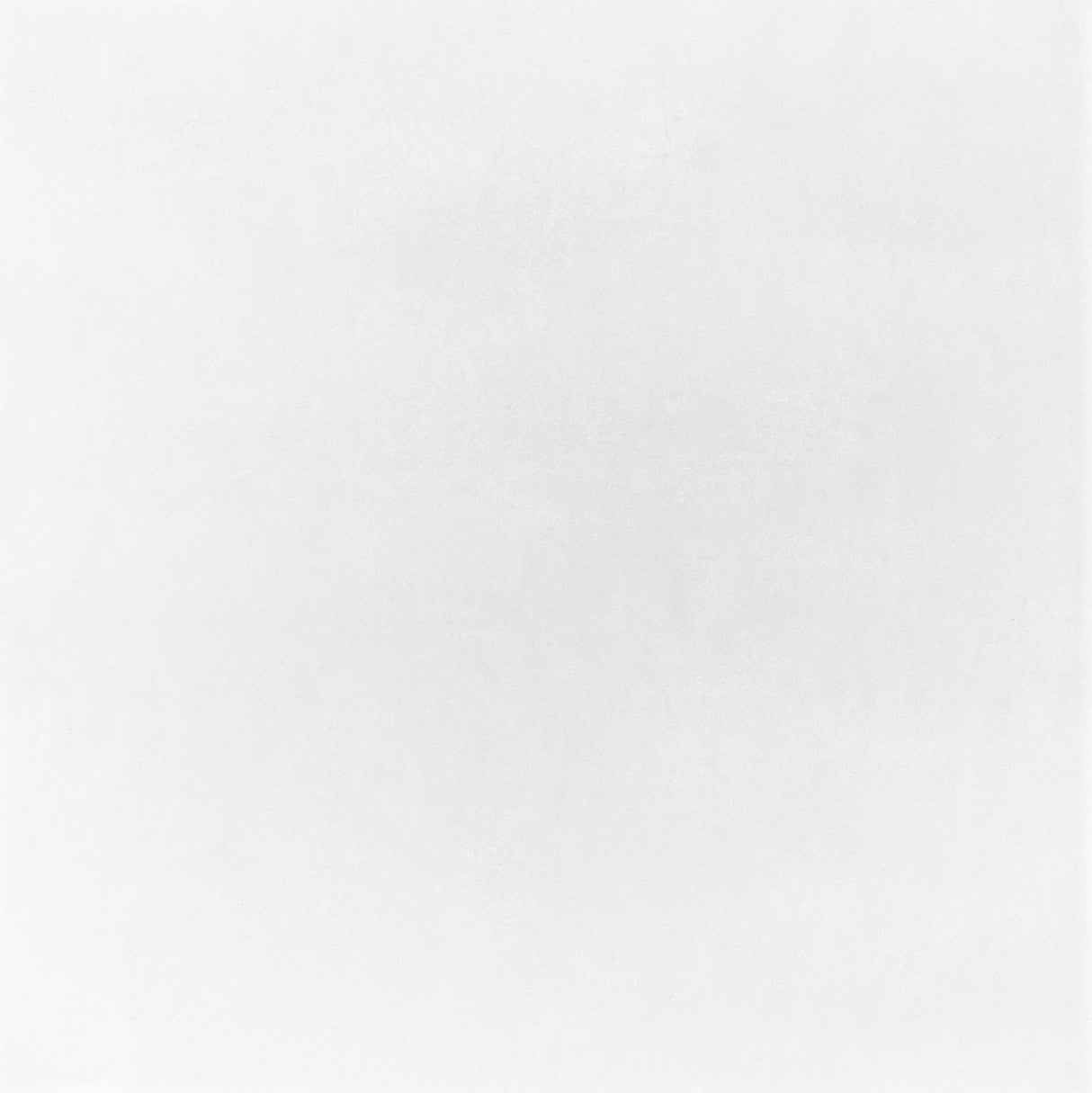 Micron 48x48