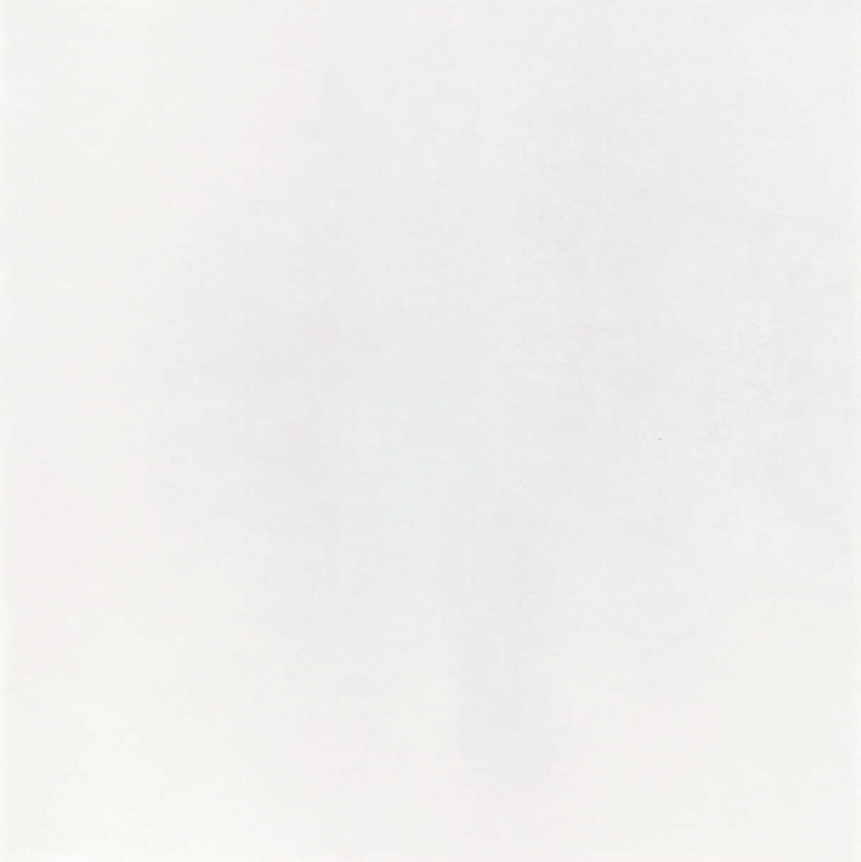Micron 48x48