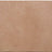 cotto Roots Porcelain Field Tile Matte 8.6x17.2