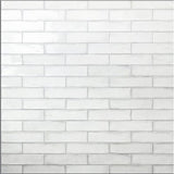 Alchimia Polished Ceramic Subway Tile 3x12