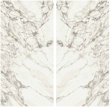 Arabescato Vagli Lucido Porcelain Slab Matte bookmatch