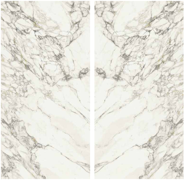 Arabescato Vagli Lucido Porcelain Slab Matte bookmatch