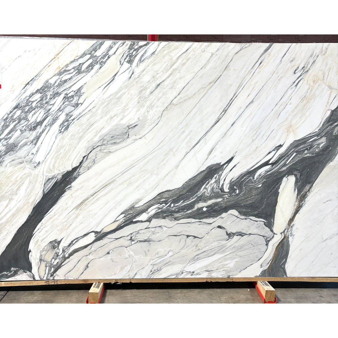 Arabescato Corchia Marble Honed