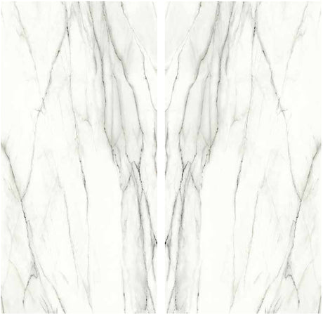 Bianco Laguna Porcelain Slab Matte bookmatch