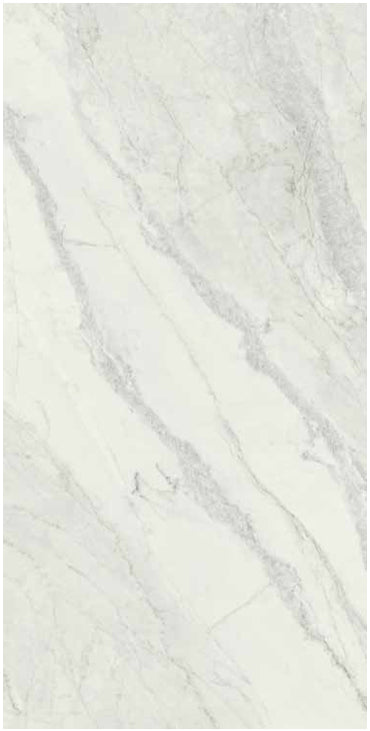 Bianco Rinho Porcelain Slab Matte