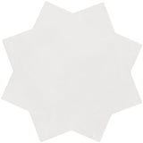 Kasbah Star Porcelain Matte 6.5x6.5