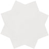 Kasbah Star Porcelain Matte 6.5x6.5