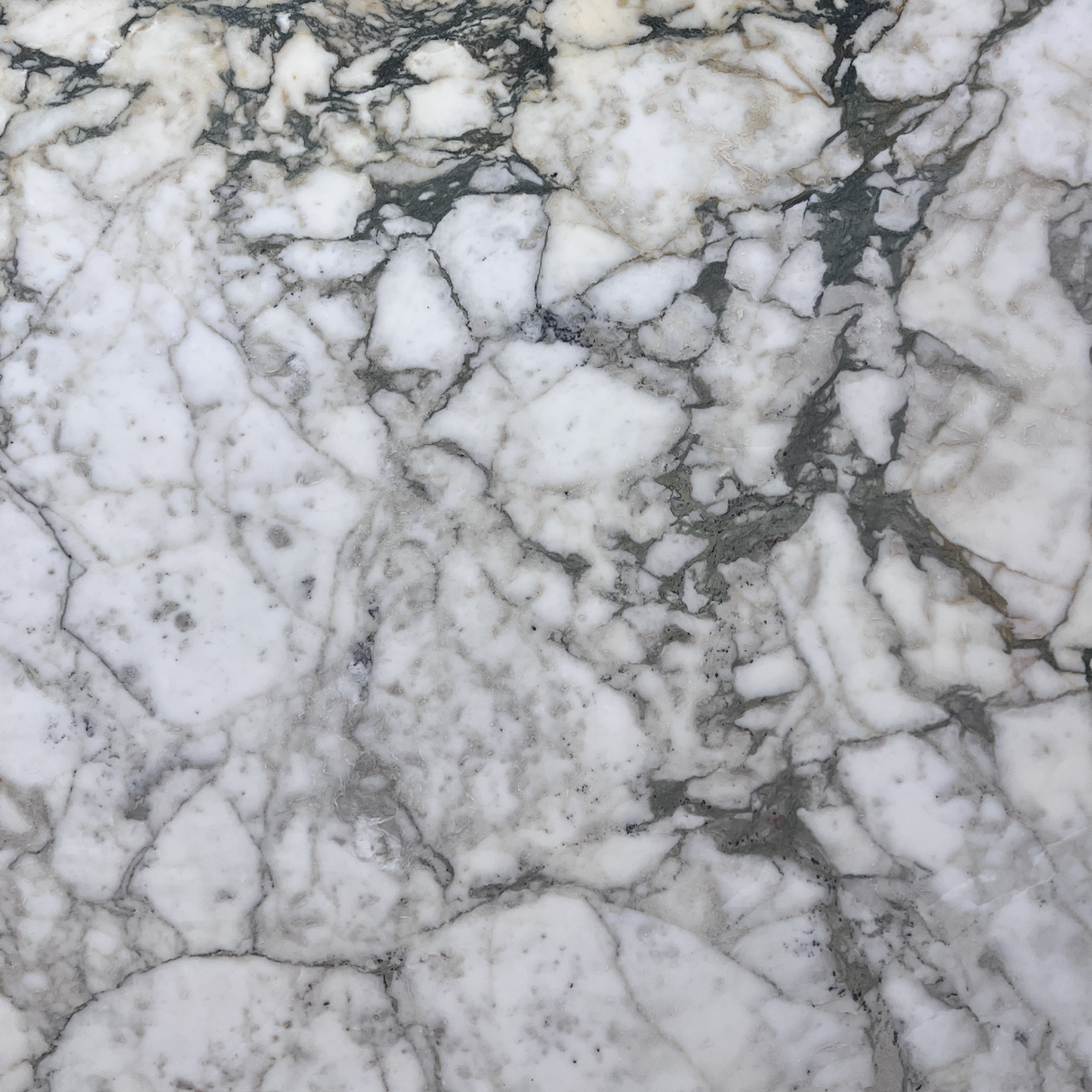 Calacatta Monet Polished Slab