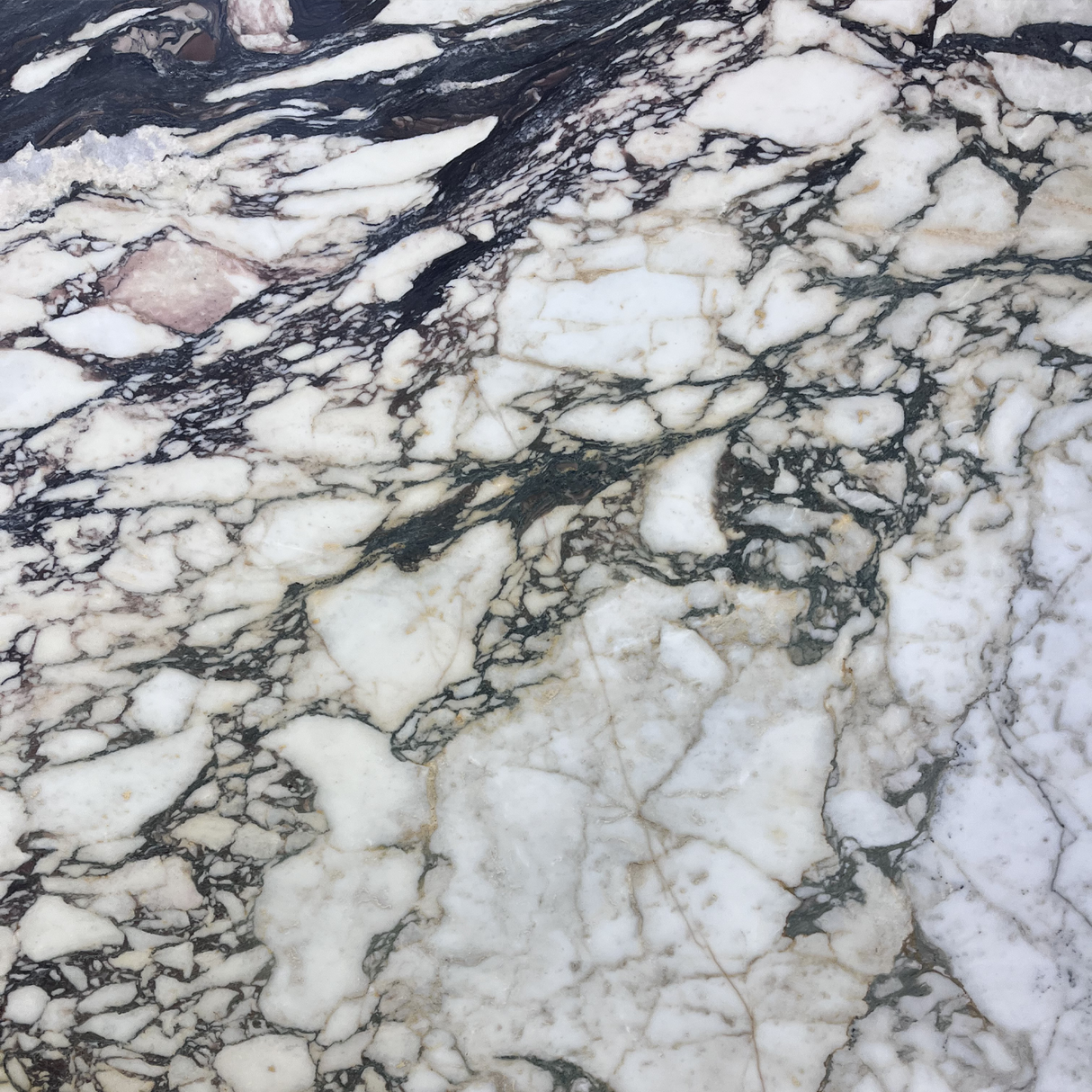 Calacatta Monet Polished Slab