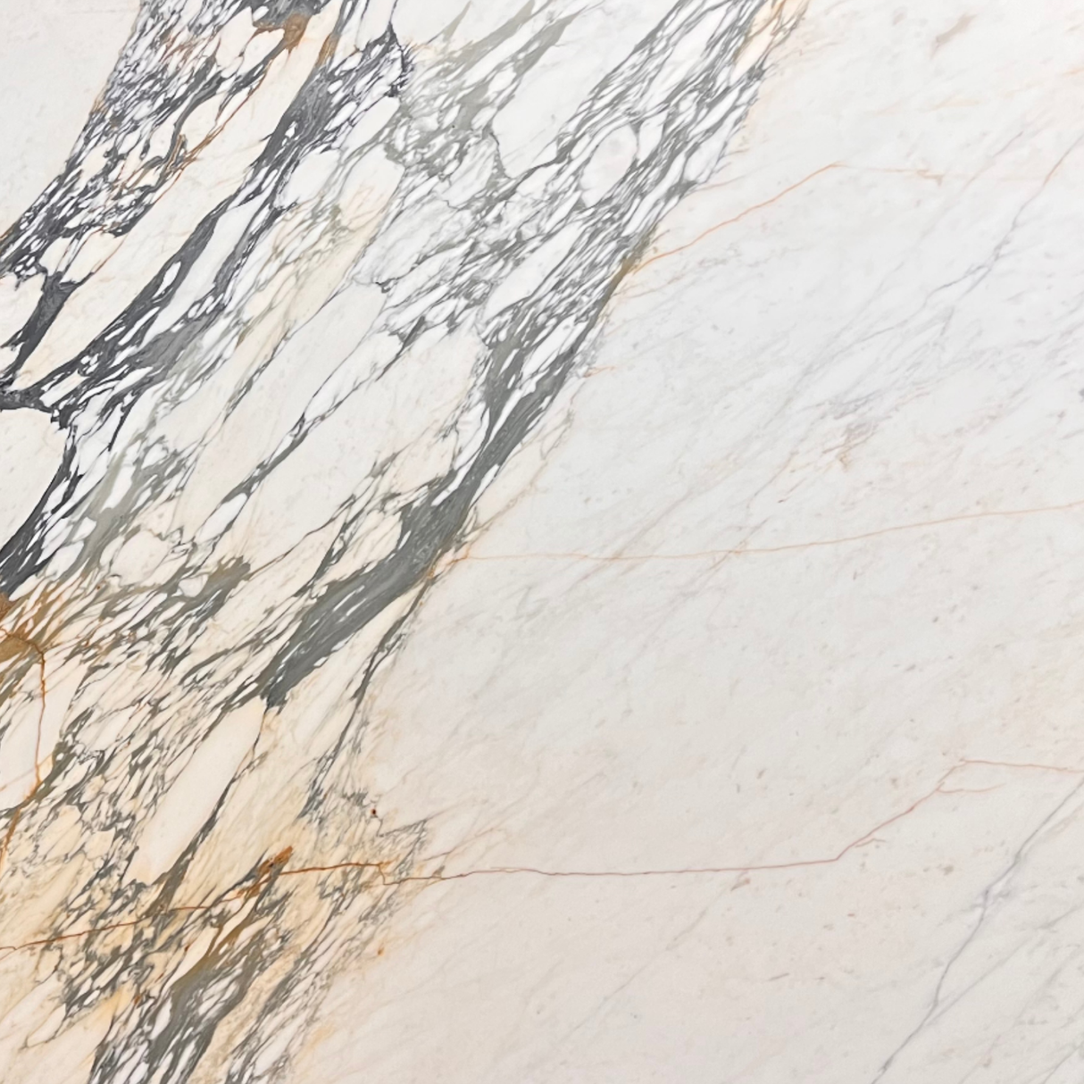 Calacatta Picasso Honed Slab