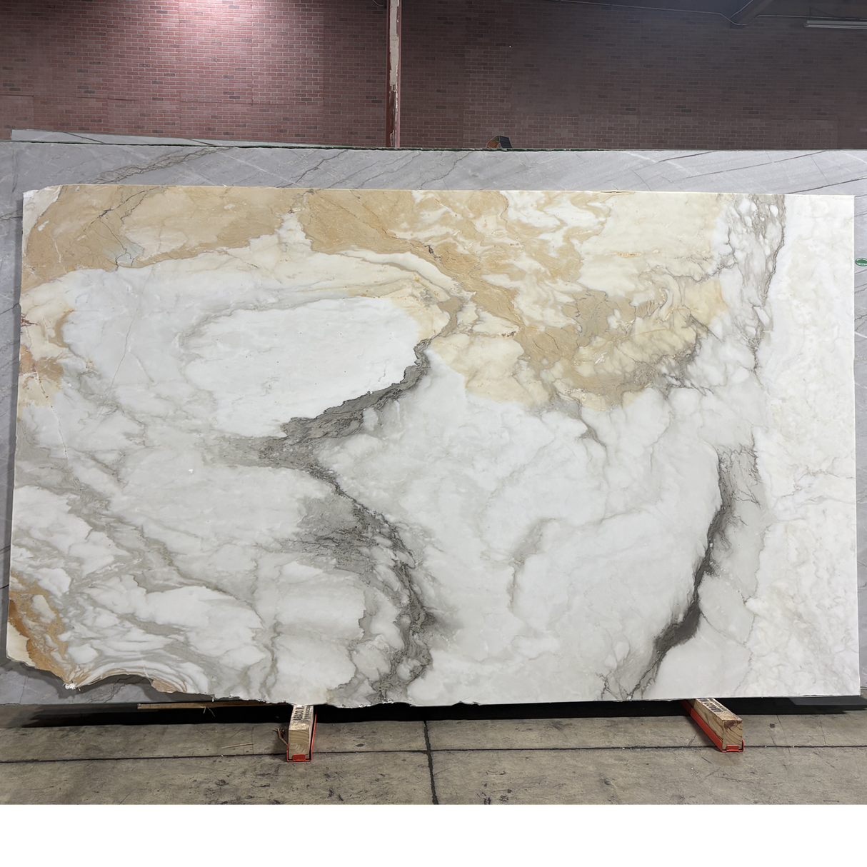 Calacatta Macchia Vecchia Polished Slab