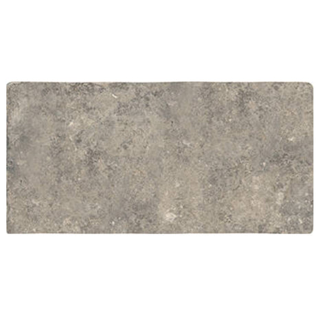 cluny Abbey Stone Extra Large Tile Matte 8.6x17.2