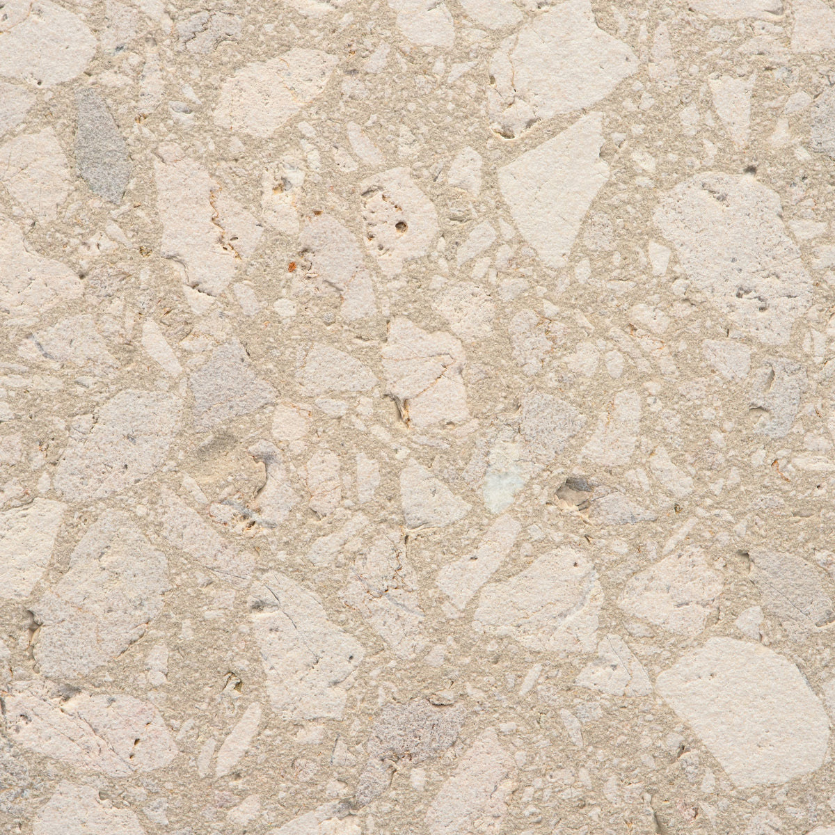 Botticino Terrazzo Scavato Agglomerated Marble Bush Hammered 49" x 120" Natural Stone slab