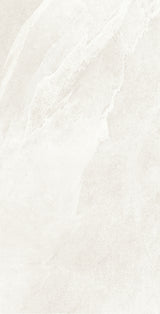 Planet 24x48 porcelain tile