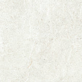 Lime Evolution 48x48 porcelain tile