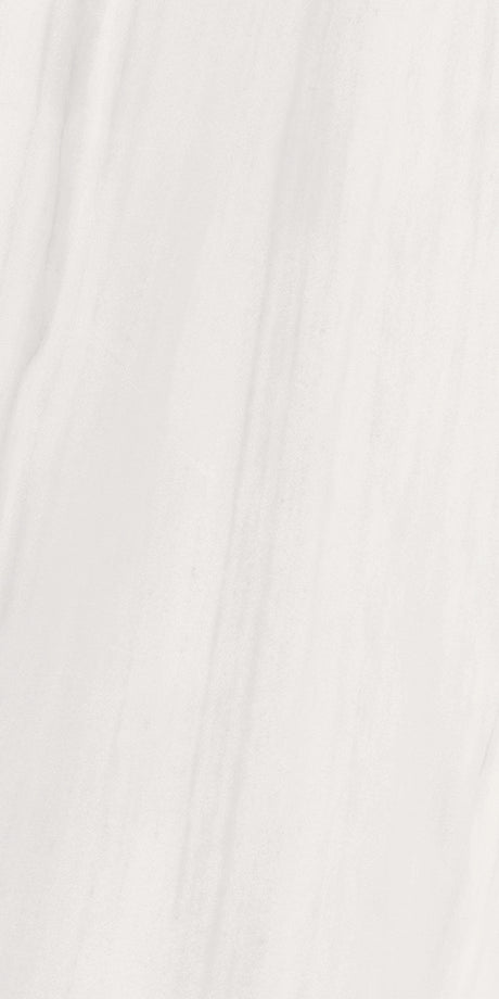 Sansovino 24x48 Matte White porcelain tile
