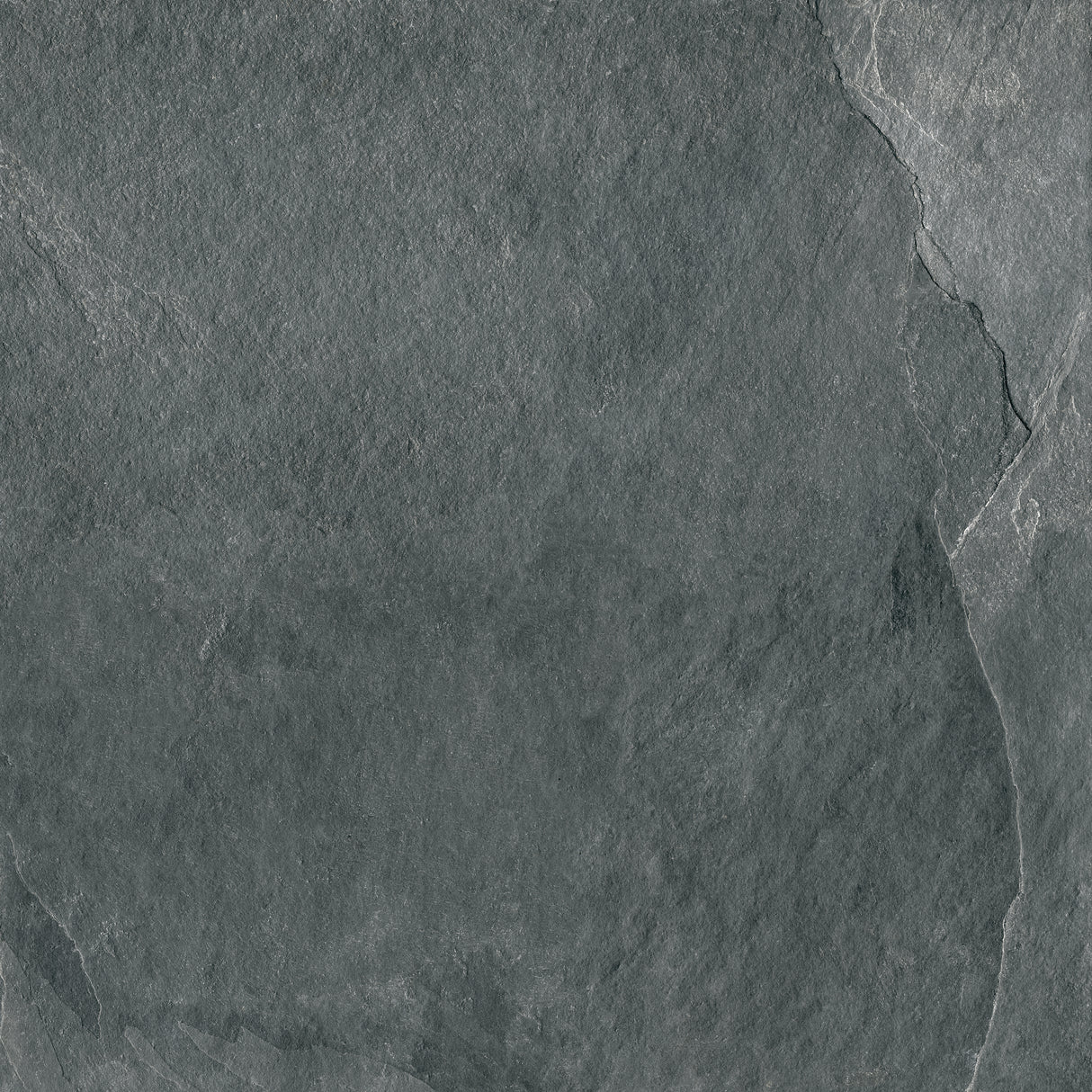 Graphite porcelain field tile 48x48