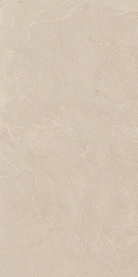 Stoneline 24x48 R11 Natural porcelain tile